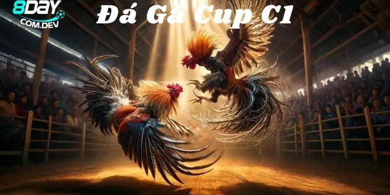 Phương pháp tập luyện đơn giản và hiệu quả